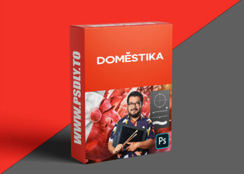Domestika - Adobe Photoshop for Digital Painting