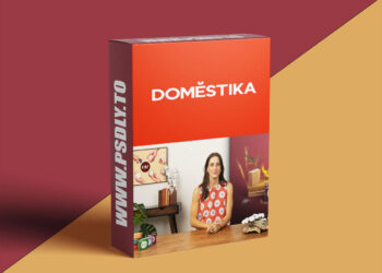 Domestika - How to Become a Sustainable Business Entrepreneur