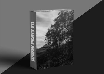 Hannah Pippins – Roadmap Exclusive