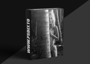 Peter Coulson Photography - Last Night In Fiji