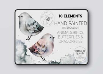 Watercolor Animals Birds Butterflies 6945978