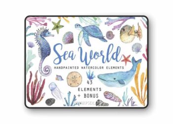 43 Elements of Undersea World 1622590