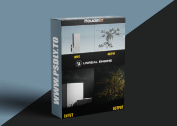 Artstation - Houdini Tutorial Procedural Bush Plant in Unreal Engine 5