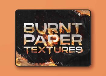 CM - Torn and burned paper textures 6129557