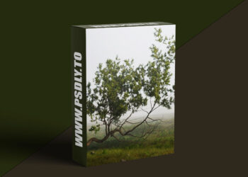 Cgside - Environment Technical tips and tricks - Full project