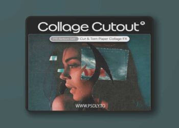 DoronSupply / Doron Studio - Collage Cutout