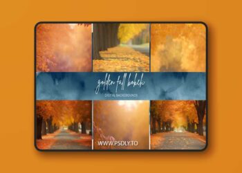 Finding North Education - Golden Fall Bokeh Digital Backgrounds
