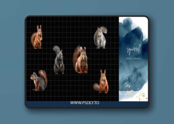 Finding North Education - Squirrel Digital Overlays