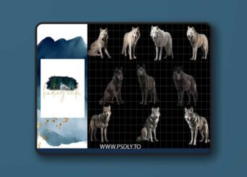 Finding North Education - Wolf Digital Overlays