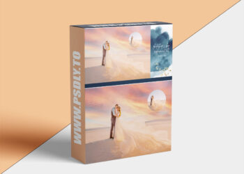 Finding North Education – Quick Tip- Photoshop's Sky Replacement Tool