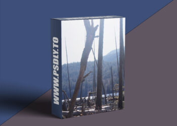 Mattepaint - Edges, Halo And Lightwrap