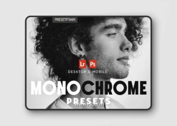 Presetain - Monochrome Lightroom Presets