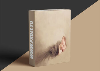 The Creative Newborn Photography Studio