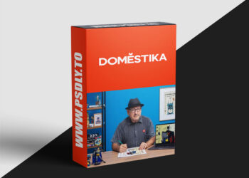 Domestika - Character-based Infographic Design