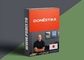 Domestika - Communication Strategy for Brands
