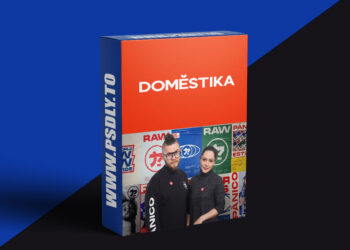 Domestika - Design Simple and Effective Visual Identities
