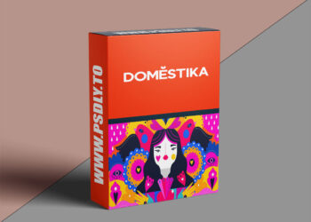 Domestika – Guided project: Vectorized drawings with Illustrator