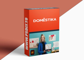 Domestika – Information Design: Storytelling with Data in Illustrator
