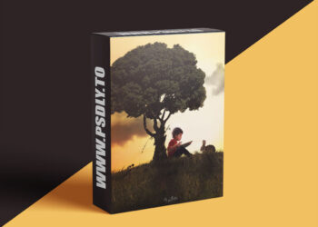 Megbittonproductions - Editing Fundamentals with Yessica Abrego