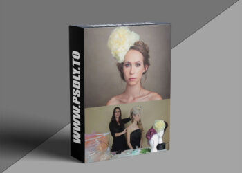 Theportraitsystem – Fascinators