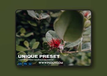 Unique Mobile Lightroom Preset