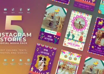 Videohive - Cinco De Mayo Mexican Festival Instagram Reel - 57527943