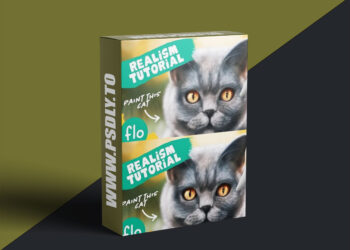 Art With Flo - Realistic Cat