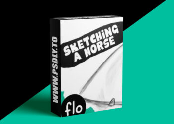 Art With Flo - Sketching a Horse