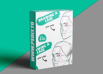 Artwithflo - Procreate Tutorial Drawing a Face - 3/4 view