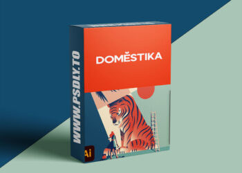 Domestika - Guided Project: Colorful Vector Illustration in Adobe Illustrator