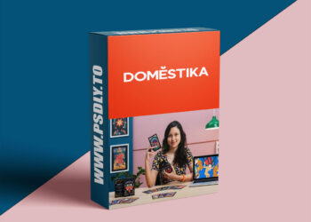 Domestika - Illustrated Deck of Cards Creation