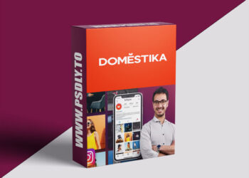 Domestika - Introduction to Digital Marketing on Instagram