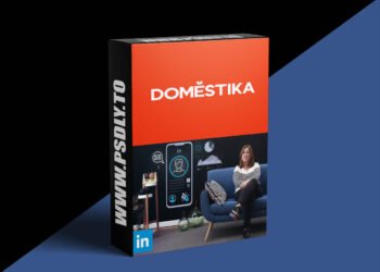 Domestika - LinkedIn: Build your Personal Brand