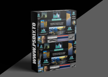 Naturephotographyclasses - Understanding Your Creative Process