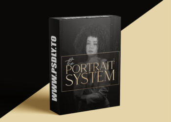 Theportraitsystem - How To Create Effective Instagram Marketing Campaigns — Ashleigh Taylor Henning