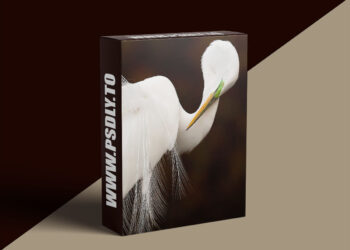 Cornell Lab Bird Academy - Melissa Groo - Bird Photography