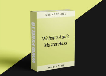 Danbee Shin – Website Audit Masterclass