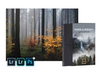 Dark & Moody - Mobile & Desktop Lightroom Presets Pack