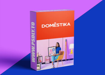 Domestika - Creative Visual Diary: Learn to Draw Your Life