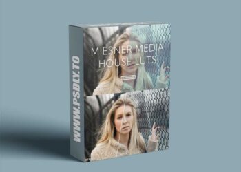 Filtergrade - Meisner Media House Luts