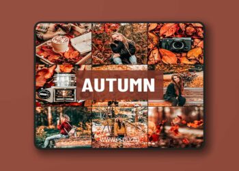 Psd Stack - Autumn Lightroom Presets