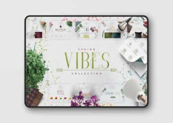 Spring Vibes Collection 2515109