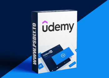 Udemy – LinkedIn Ads Mastery 2025: Complete Campaign & Feature Guide