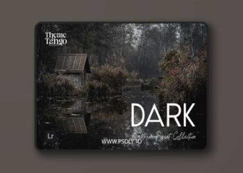 CreativeMarket - 14 Dark and Moody Lightroom Presets 291241400