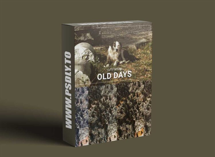 FilterGrade - 30 Old Days LUT Collection 1 FilterGrade - 30 Old Days LUT Collection