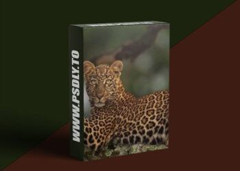 Nature Photographers Network - Nick Dale - How to Stand Out From the Herd