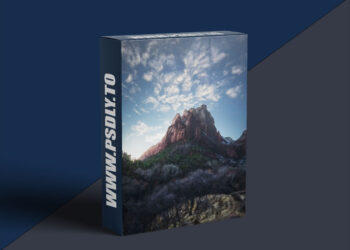 Ben Strauss - Court of the Patriarchs Sunset (The Vault Series)