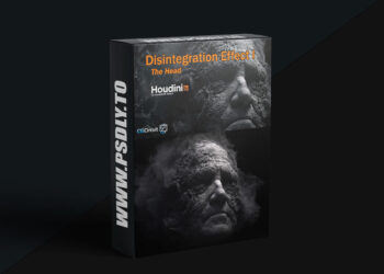 CG Circuit - Disintegration Effect I