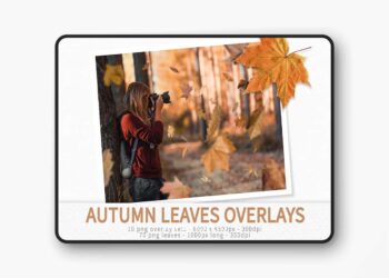 Creativemarket - Autumn Leaves Overlays