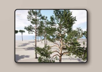 DZ Trees - Conifers (Pines, Cypresses and Firs) [5.1 – 5.6]